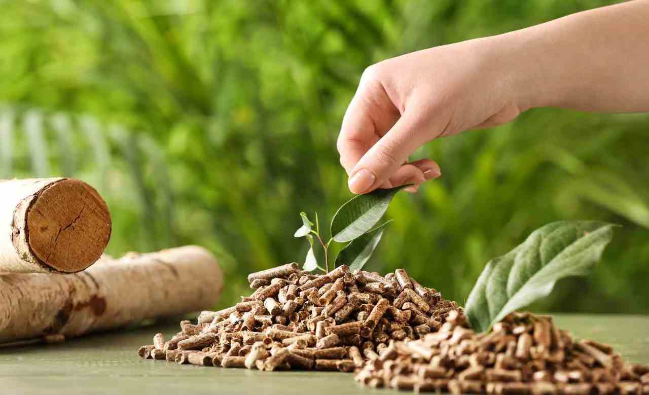 PINE PELLET - Görsel 2