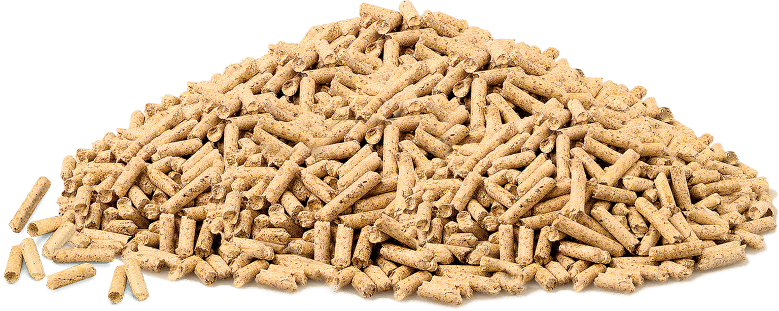PINE PELLET - Görsel 4
