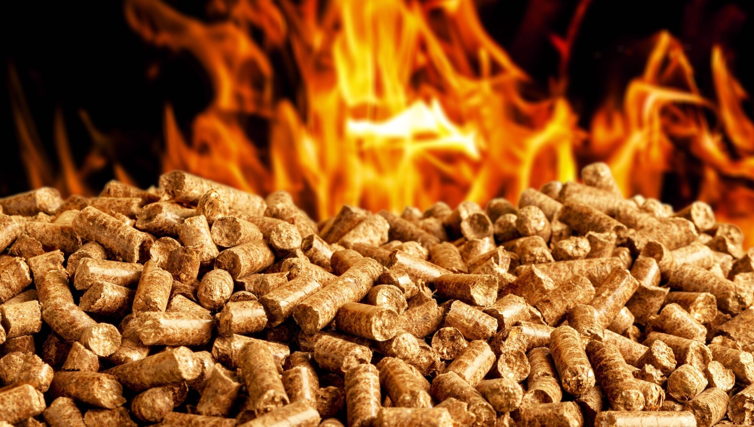 PINE PELLET - Görsel 3